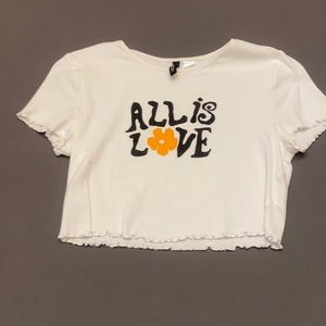 Divided “All is Love” Cropped Tee (M)
